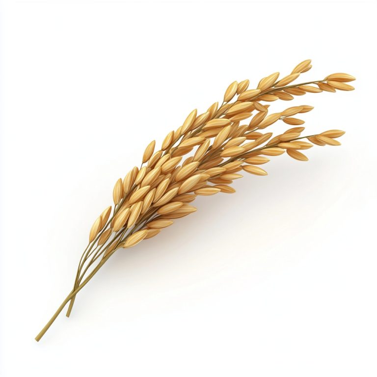 3D Rice Grain Illustration