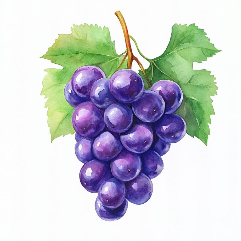 Abstract Watercolor Purple Grape