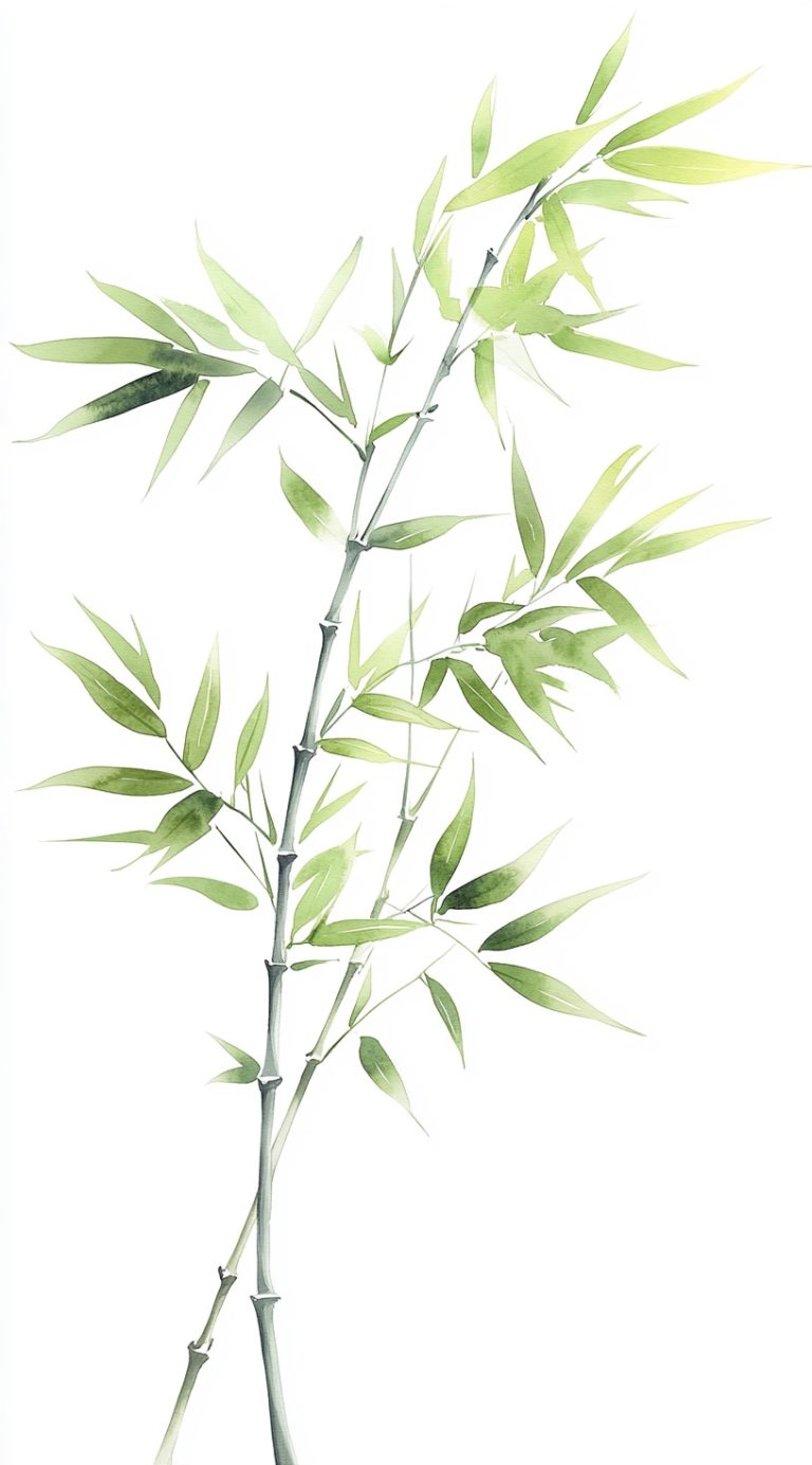 Bamboo .png