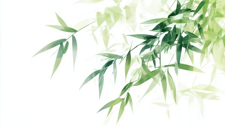 Bamboo 1 4