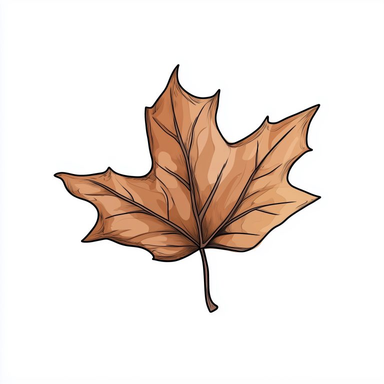 Cartoon Autumn Leaves Design