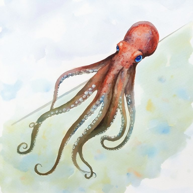 Cartoon Watercolor Octopus