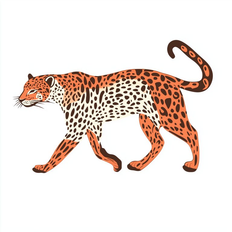 Cheetah