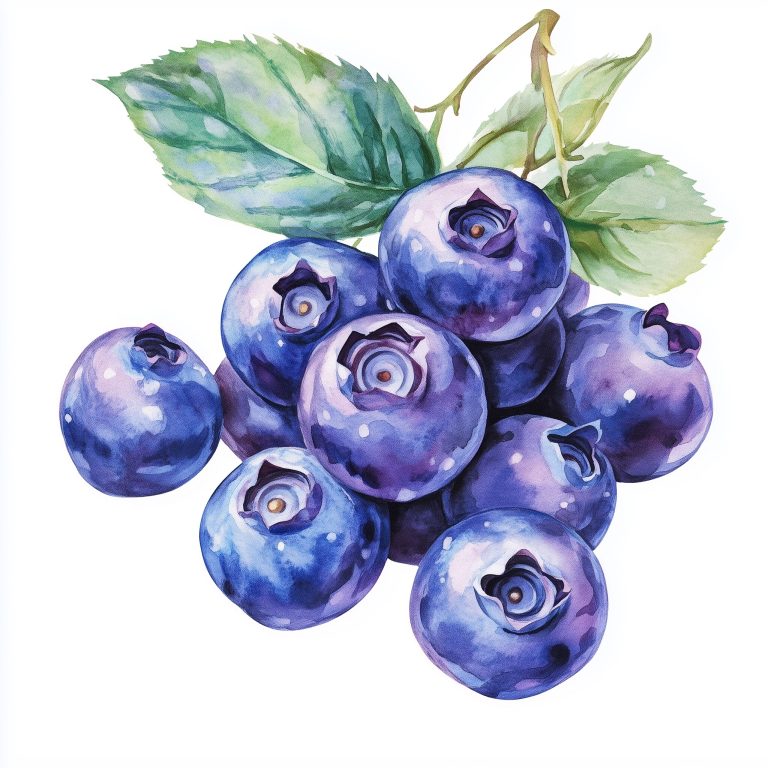 Delicate Watercolor Blueberries Isolated Fruit Illustration on a Crisp White Canvas