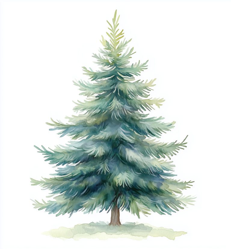 Detailed Watercolor Christmas Tree 1