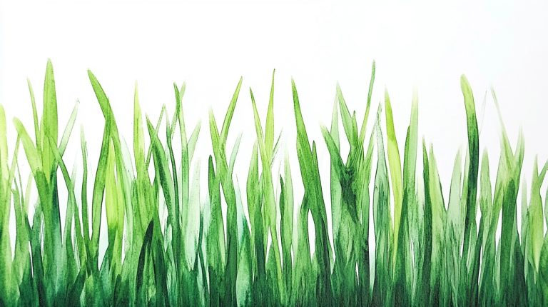 Grass 1 1