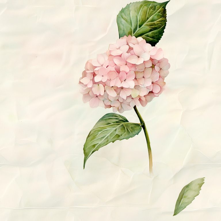 Hydrangea Floral 26