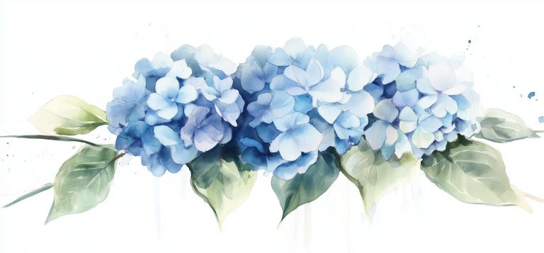 Hydrangea Floral.png