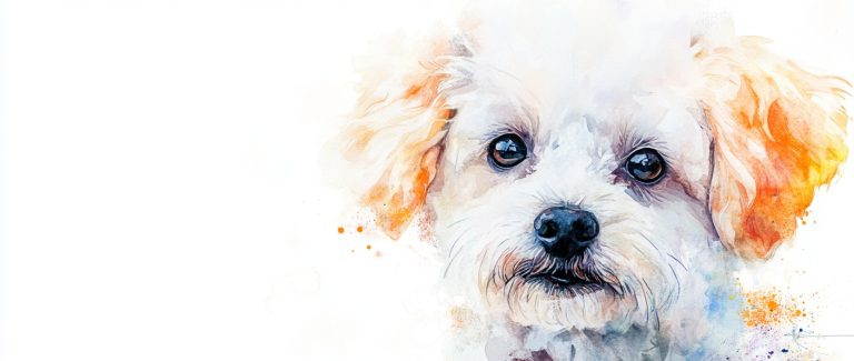 Hyper Realistic Bichon Friss Watercolor