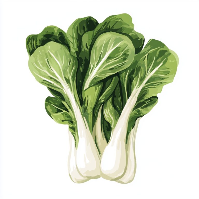 Matisse Style Bok Choy Illustration