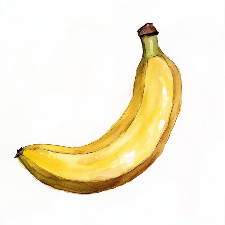 Minimalist Watercolor Banana Drawing