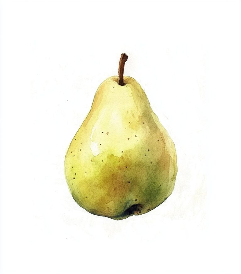 Minimalist Watercolor Pear