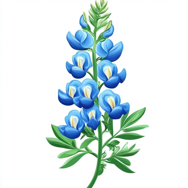 Snapdragon Botanical.png