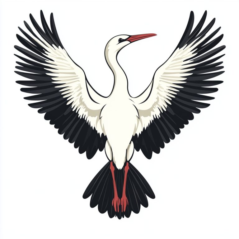 Stork 1 2