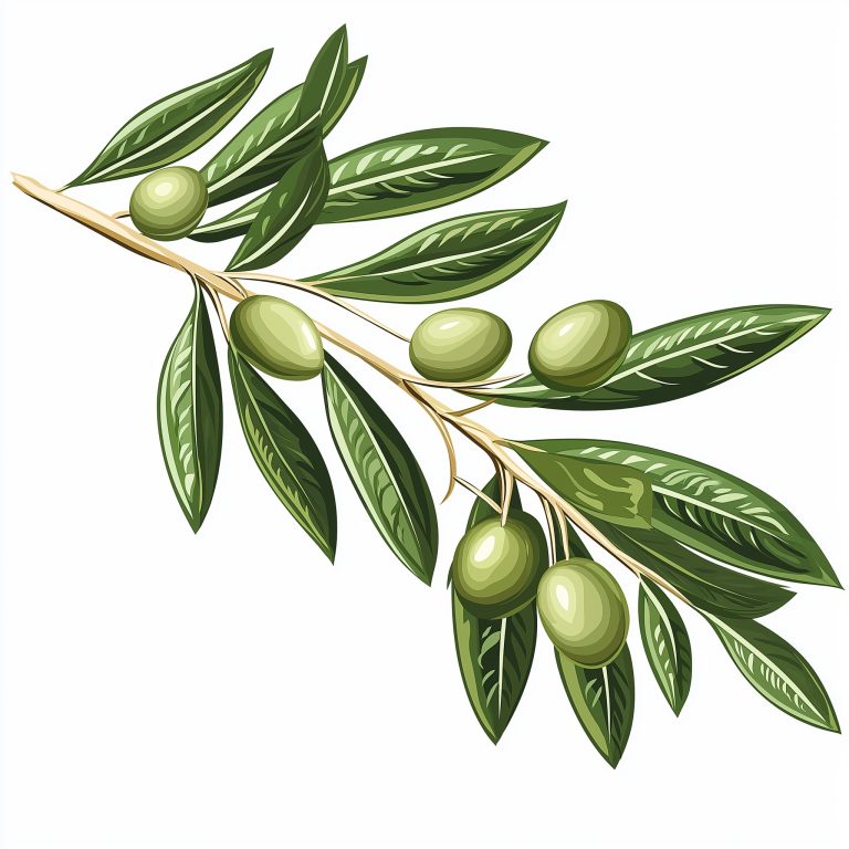 Stylized Olive Branch Logo