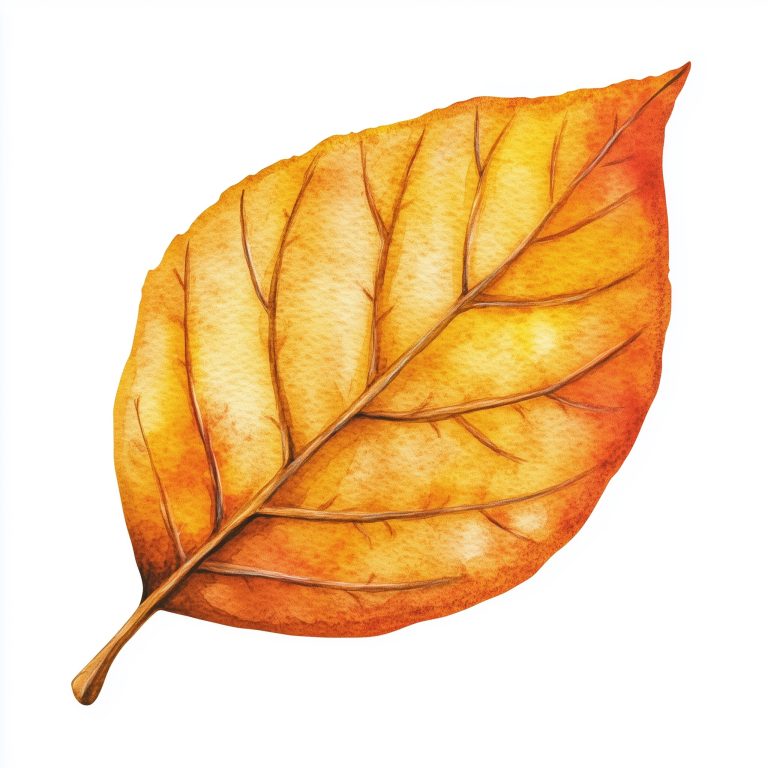 Watercolor Autumn Leaf Clipart