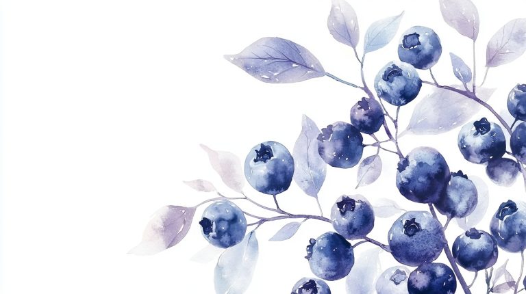 Watercolor Blueberries Minimalism