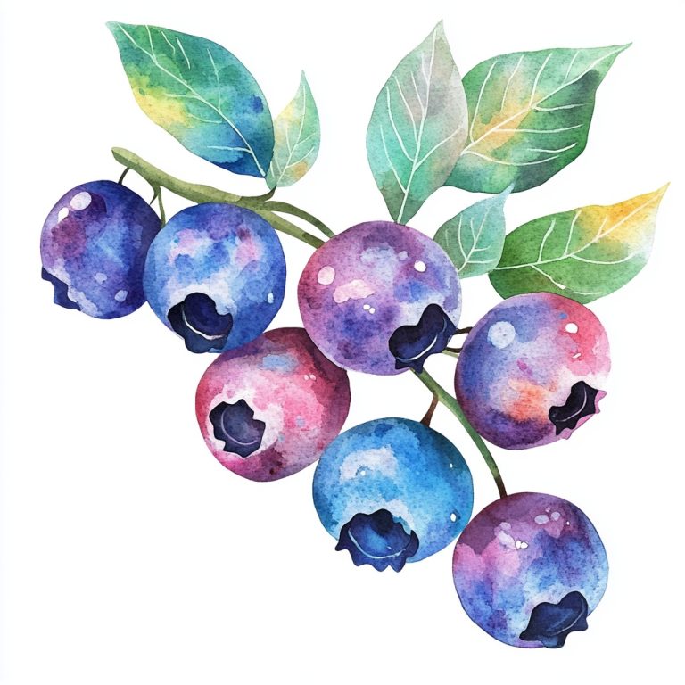 Watercolor Blueberries on White