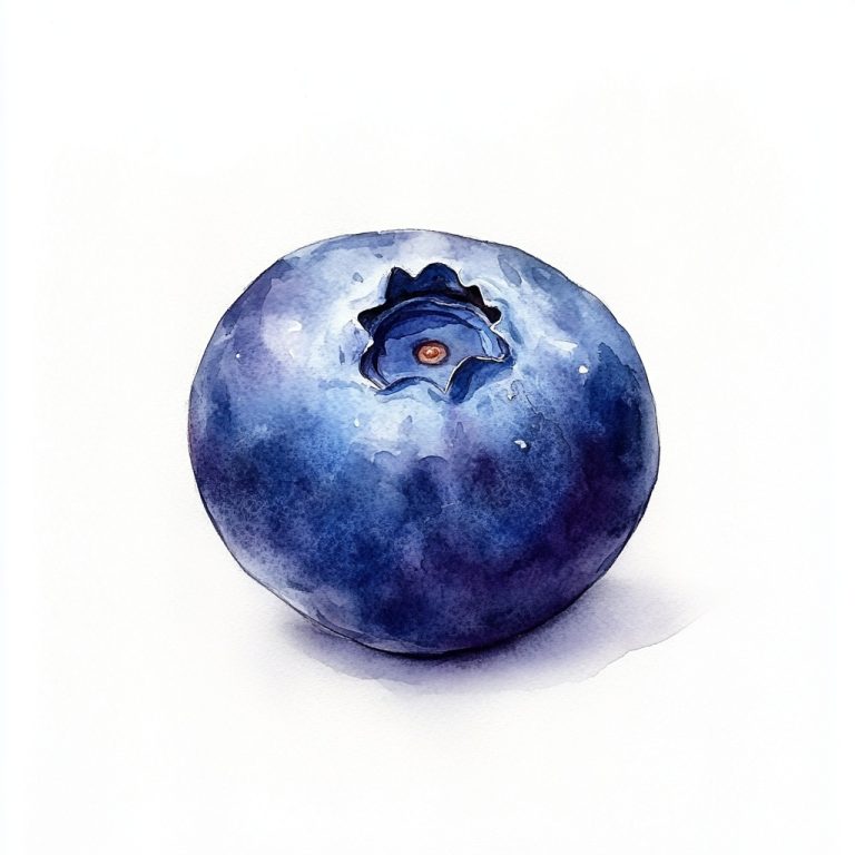 Watercolor Blueberry Study