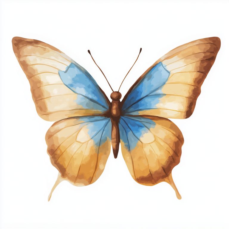 Watercolor Clipart Butterfly