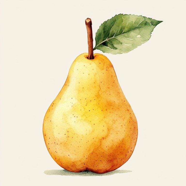 Watercolor Elegant Pear