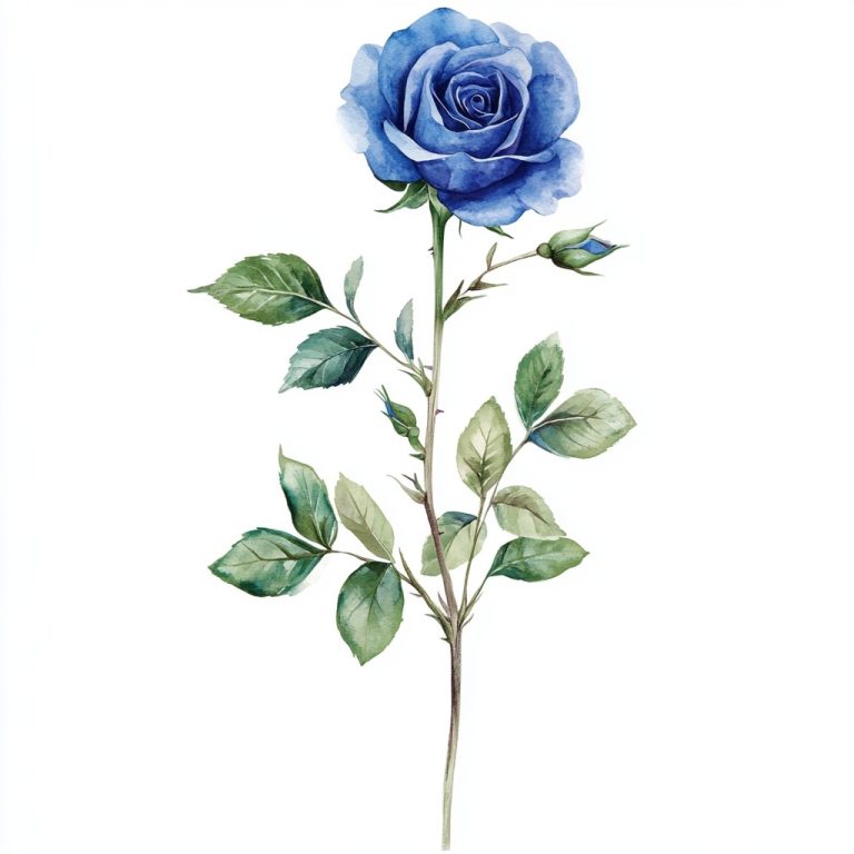 Watercolor Stem with Rose