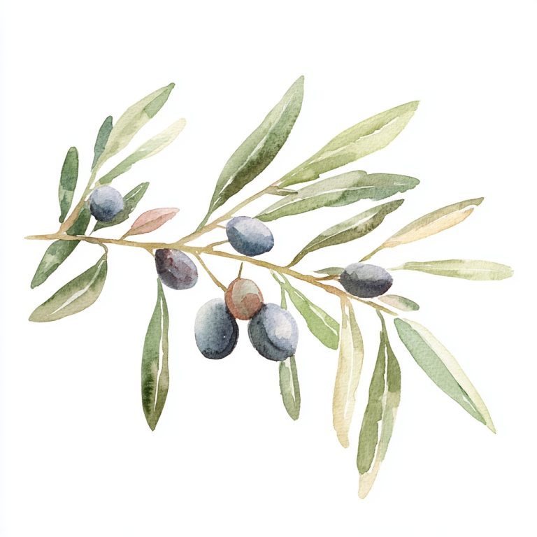 Watercolour Olive Branch